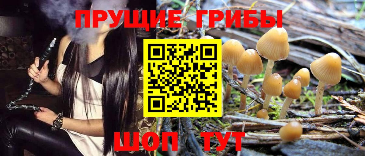 Псилоцибиновые грибы ЛСД  Вход с VPN  Батайск  Галлюциногенные грибы GOLDEN TEACHER 